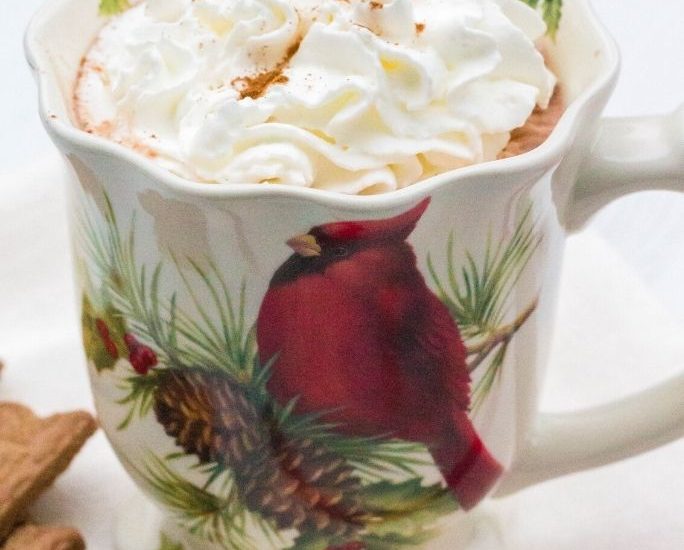 oat milk hot chocolate served in a cardinal mug, topped with whipped cream and cinnamon
