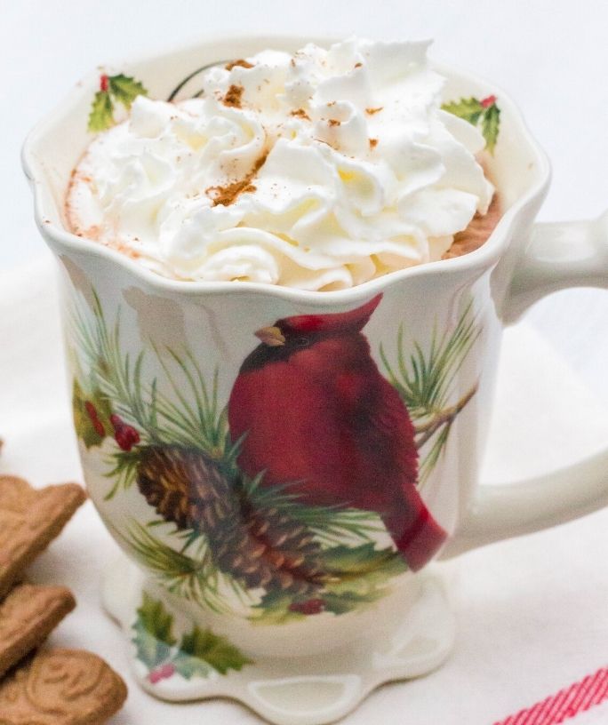 oat milk hot chocolate served in a cardinal mug, topped with whipped cream and cinnamon