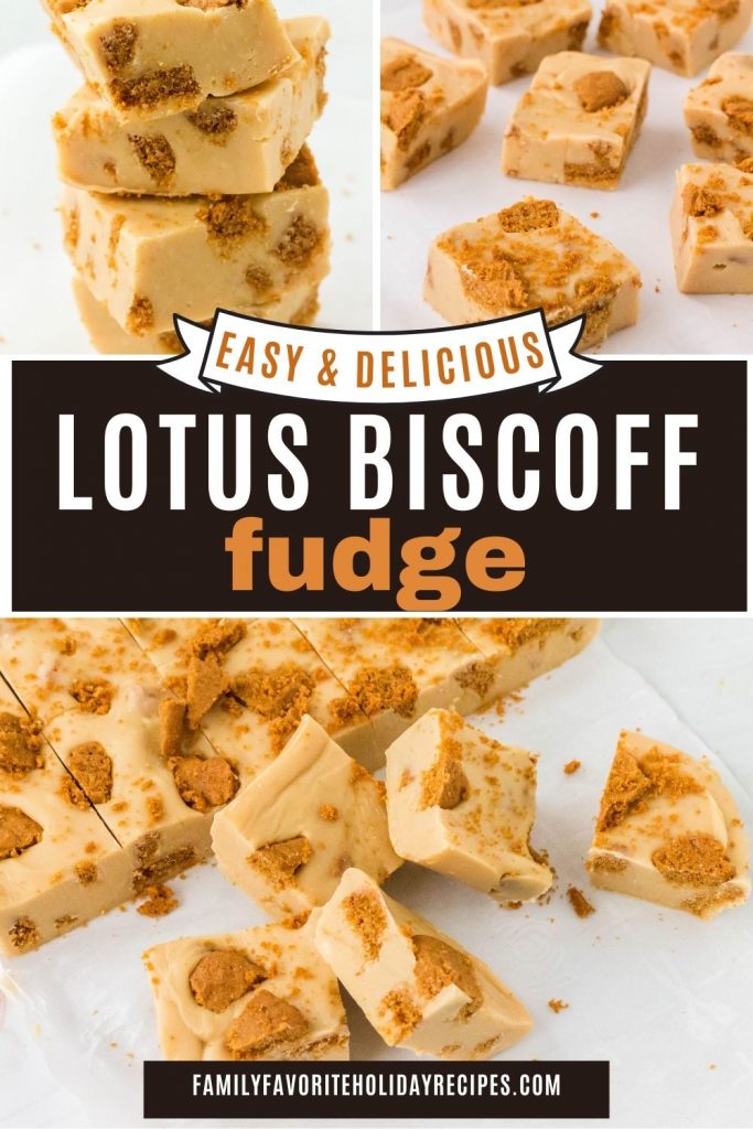 Easy Biscoff Fudge Recipe Just 4 Ingredients! Family Favorite